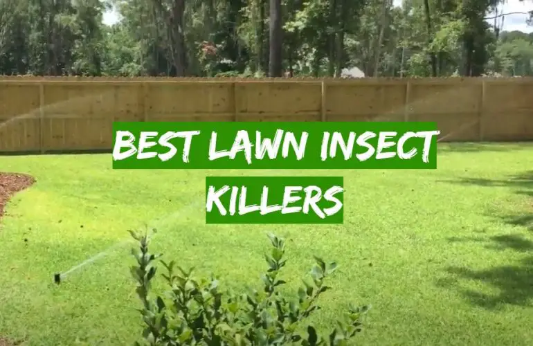 Top 5 Best Lawn Insect Killers [2021 Review] Grass Killer