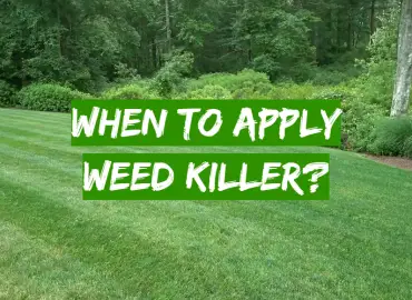 When to Apply Weed Killer?
