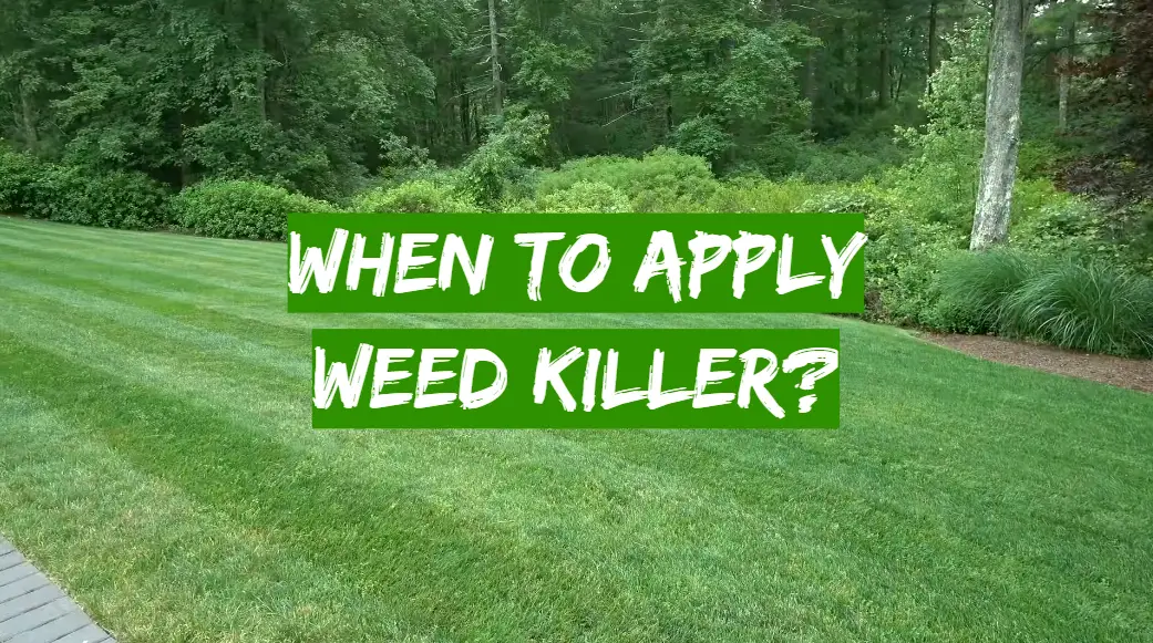 When to apply weed killer