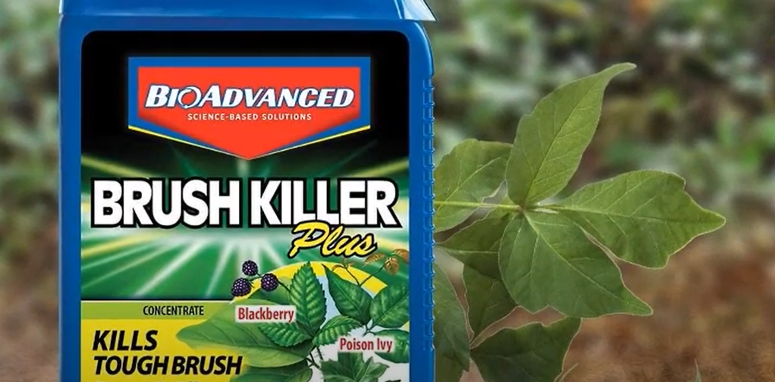 Roundup Poison Ivy Killer Review In December 2023 Grass Killer