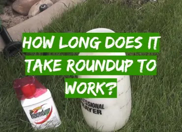 How Long Does It Take Roundup To Work?