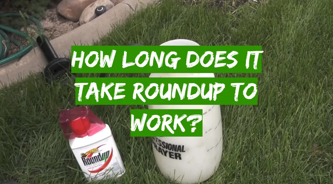 how-long-does-it-take-roundup-to-work-grass-killer