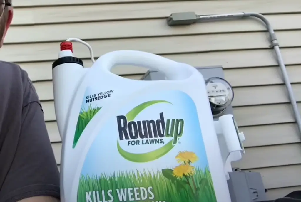 How to choose the best weed killer for you?