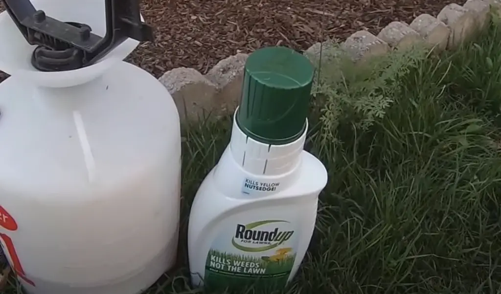 What Are the Benefits of a Weed Killer?