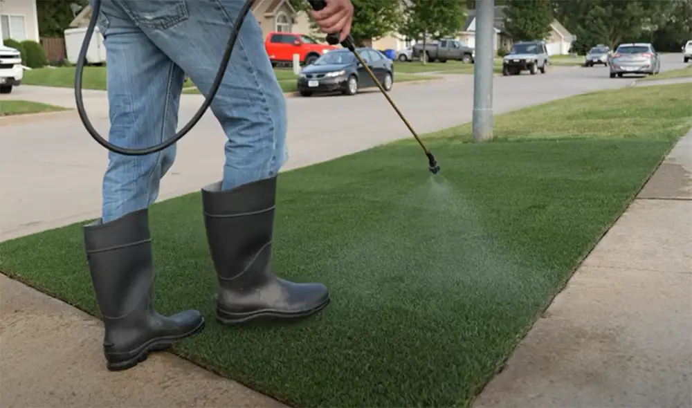 What Time Of Day Is Best To Spray Weeds