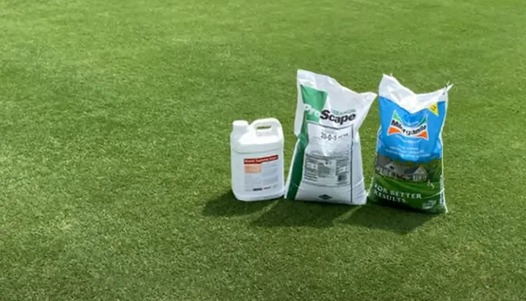 11 Ways to Make Bermuda Grass Thicker Grass Killer