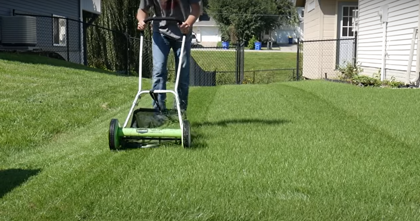 Mow the lawn properly