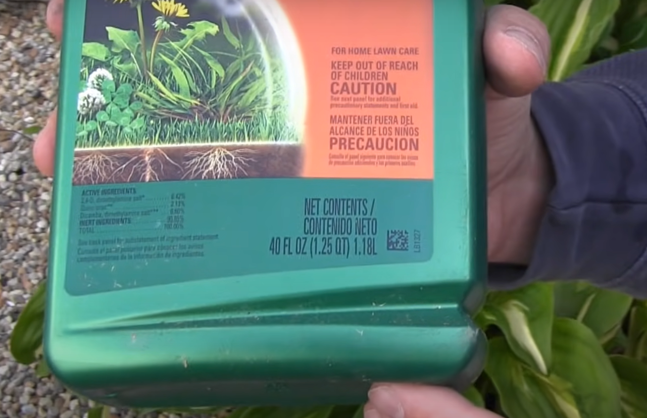 How to Get Rid of Creeping Charlie? Grass Killer