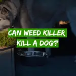 Can Weed Killer Kill a Dog?