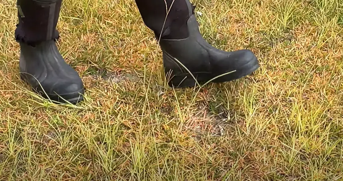 How to Kill Centipede Grass? Grass Killer