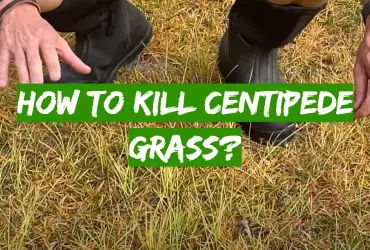 How to Kill Centipede Grass?