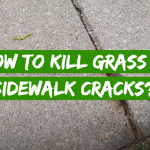 How to Kill Grass in Sidewalk Cracks?