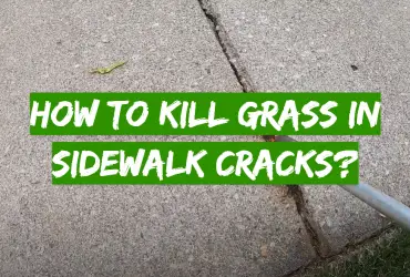 How to Kill Grass in Sidewalk Cracks?