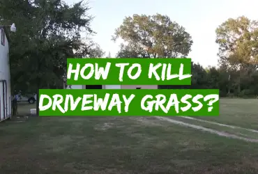 How to Kill Driveway Grass?