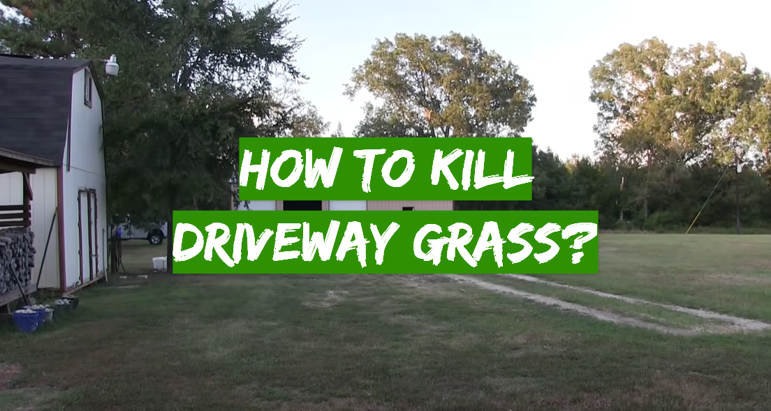 How to Kill Driveway Grass?