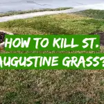 How to Kill St. Augustine Grass?