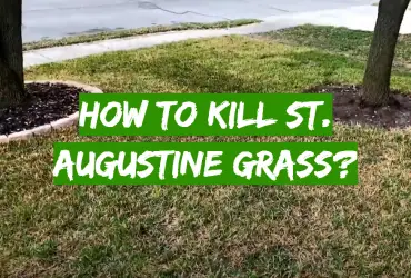 How to Kill St. Augustine Grass?