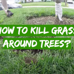 How to Kill Grass Around Trees?
