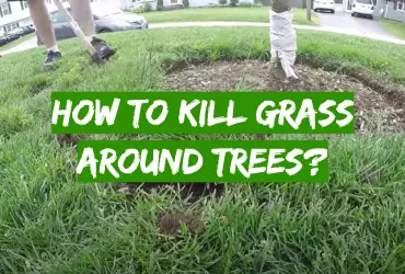 How to Kill Grass Around Trees?