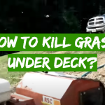 How to Kill Grass Under Deck?