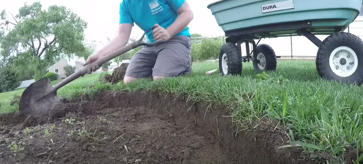 How to Kill Grass Around Trees? Grass Killer