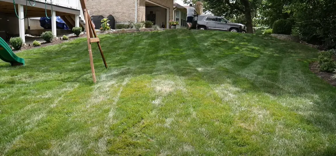 How to Kill Grass Under Deck? Grass Killer