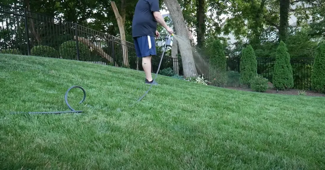 How to Kill Grass Under Deck? Grass Killer