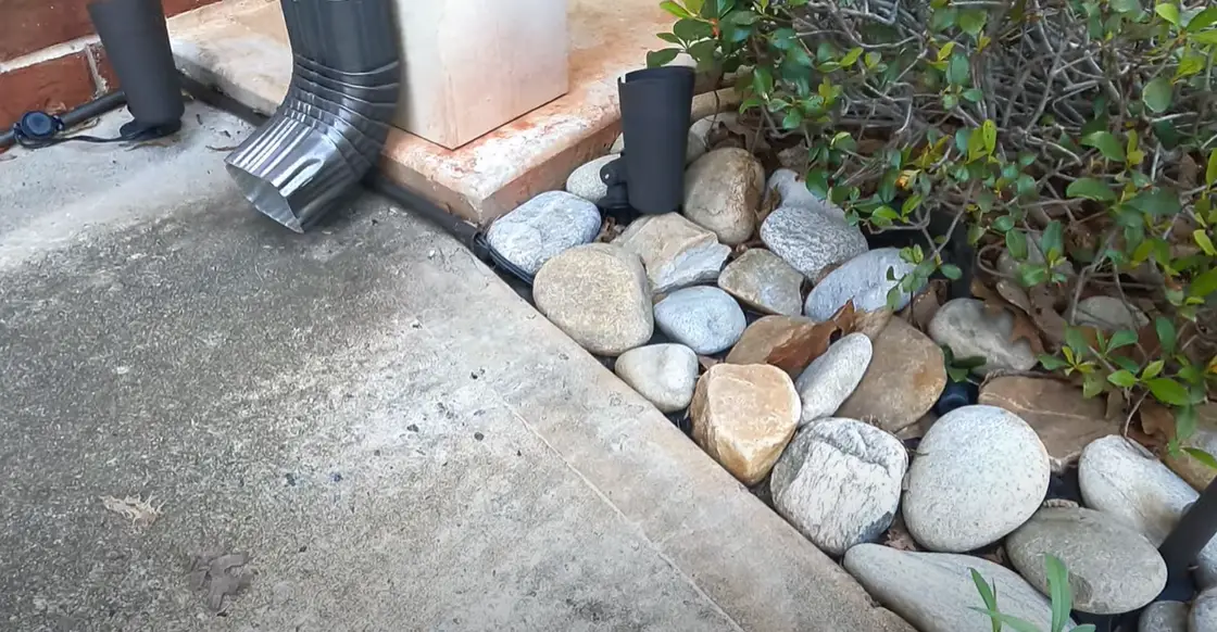 How to Kill Grass in Flower Beds? Grass Killer