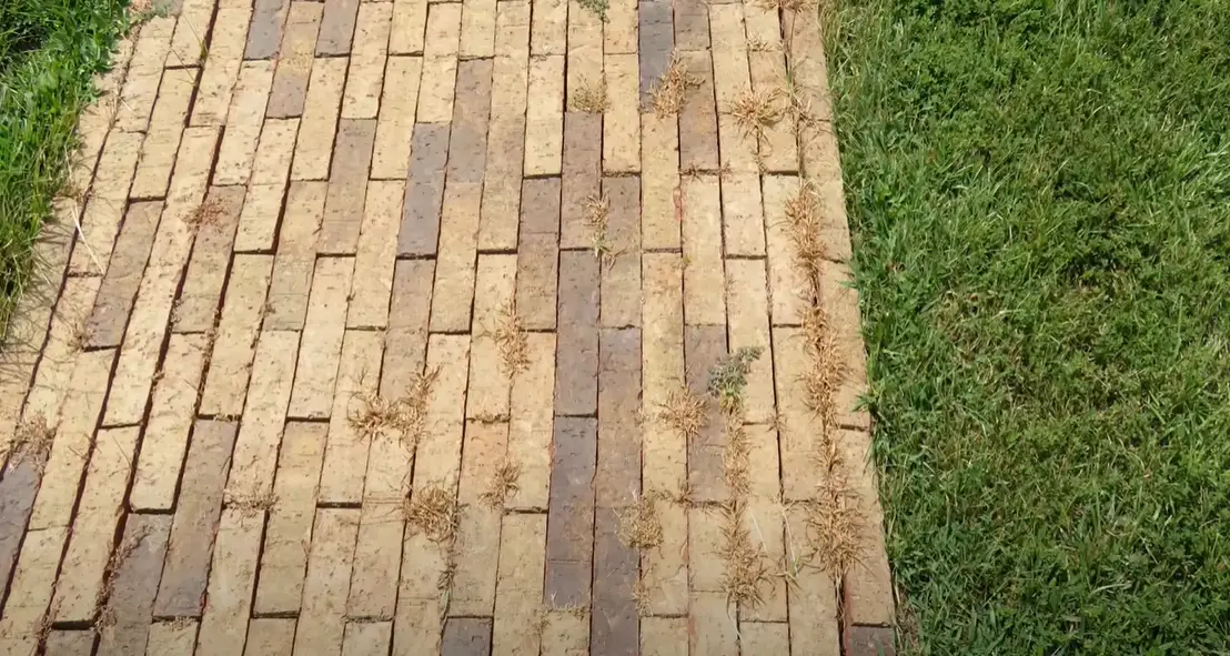 How to Kill Driveway Grass? Grass Killer