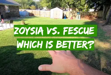 Zoysia vs. Fescue: Which is Better?