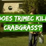 Does Trimec Kill Crabgrass?