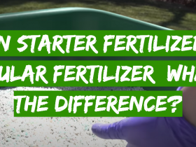 Lawn Starter Fertilizer vs. Regular Fertilizer: What’s the Difference?