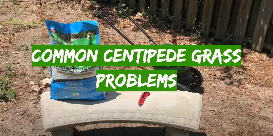 Common Centipede Grass Problems