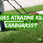 Does Atrazine Kill Crabgrass?
