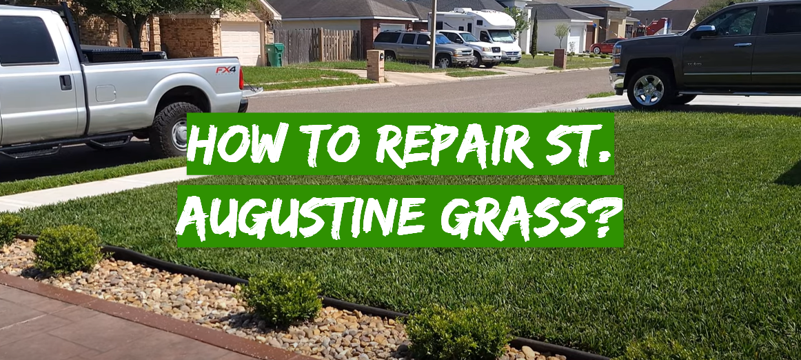 How to Repair St. Augustine Grass?