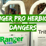 Ranger Pro Herbicide Dangers