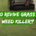 How to Revive Grass After Weed Killer?