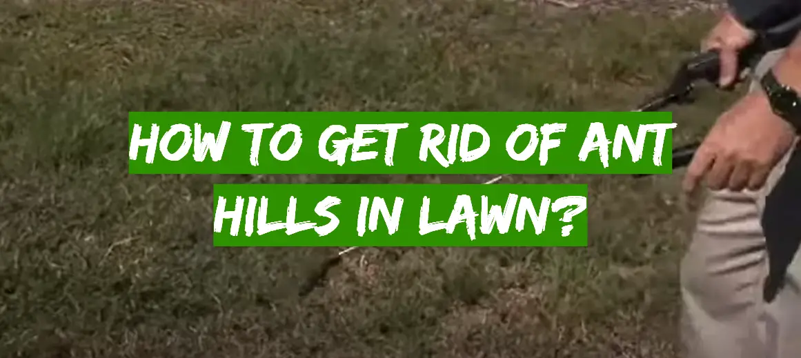 How to Get Rid of Ant Hills in Lawn?