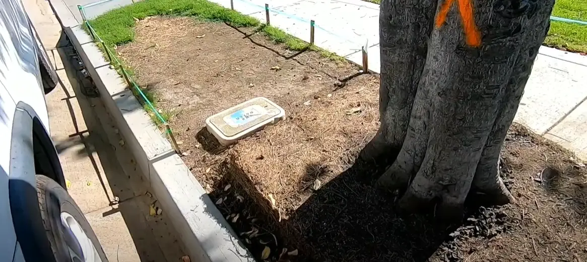 Lawn Starter Fertilizer Vs Regular Fertilizer What s The Difference