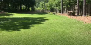 How Long for Centipede Seed to Germinate? - Grass Killer