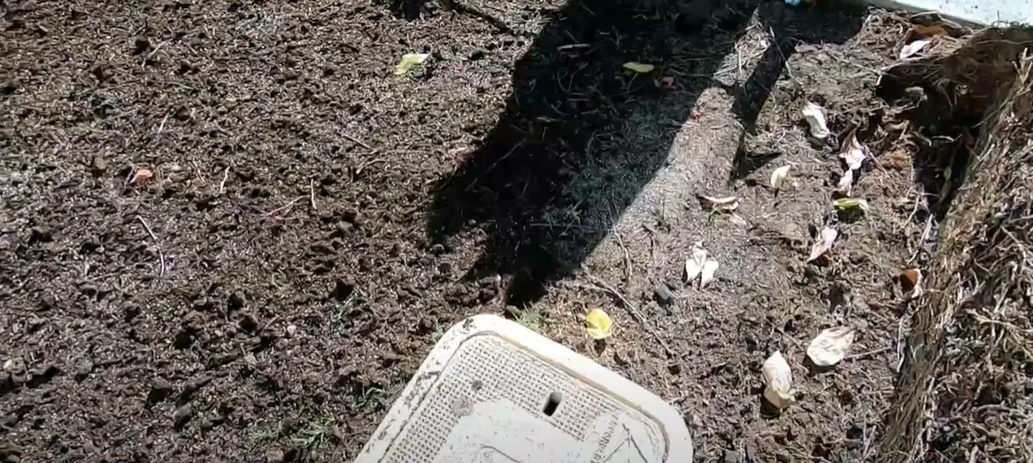 Lawn Starter Fertilizer vs. Regular Fertilizer What’s the Difference