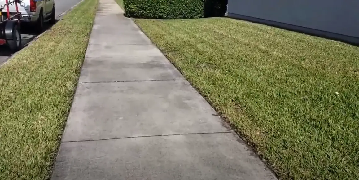 Bahia Grass vs. St Augustine Grass Which is Better? Grass Killer